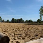 Centre équestre, Mons, Écurie Mons Équitation