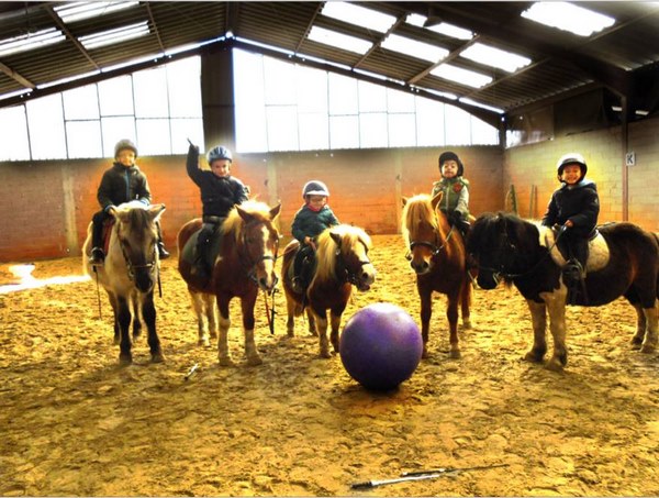 Centre équestre, Mons, Écurie Mons Équitation