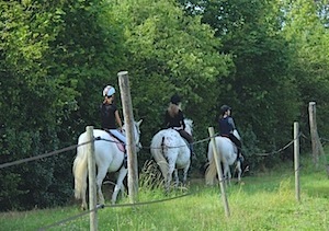 Centre équestre, Mons, Écurie Mons Équitation