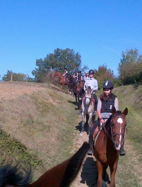 Centre équestre, Mons, Écurie Mons Équitation