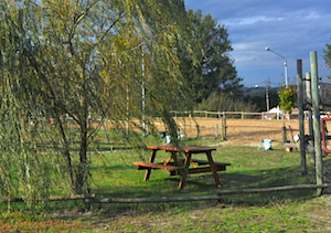 Centre équestre, Mons, Écurie Mons Équitation