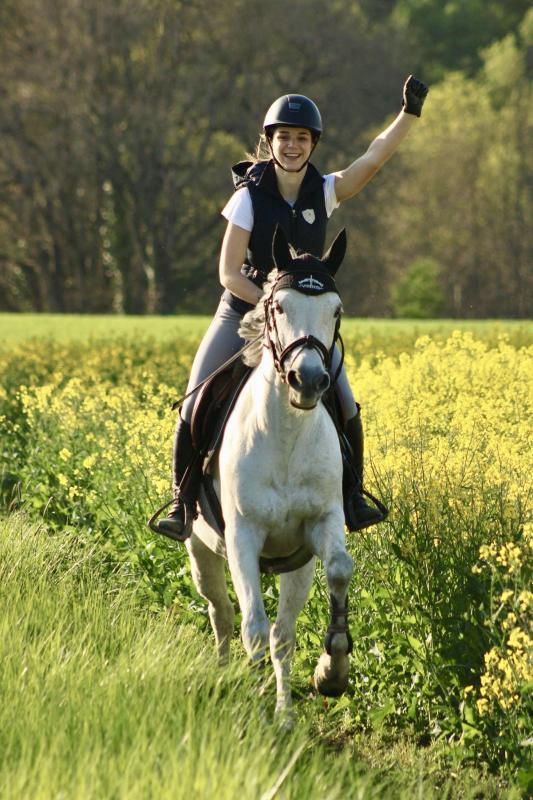 Écurie Mons Équitation, Mons, Écurie Mons Équitation