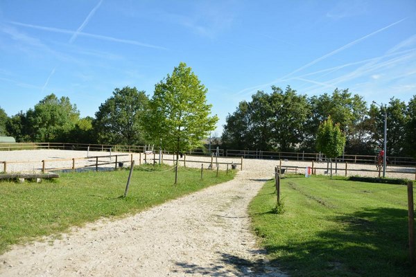 Centre équestre, Mons, Écurie Mons Équitation