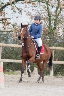 Professionnel du cheval, Mons, Écurie Mons Équitation