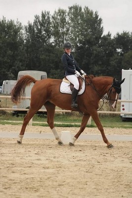 Professionnel du cheval, Mons, Écurie Mons Équitation