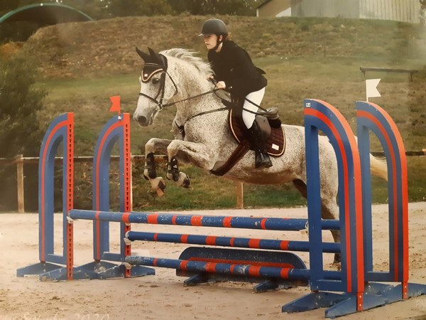 Professionnel du cheval, Mons, Écurie Mons Équitation