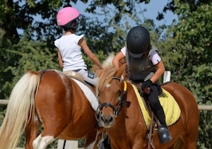 Professionnel du poney, Mons, Écurie Mons Équitation