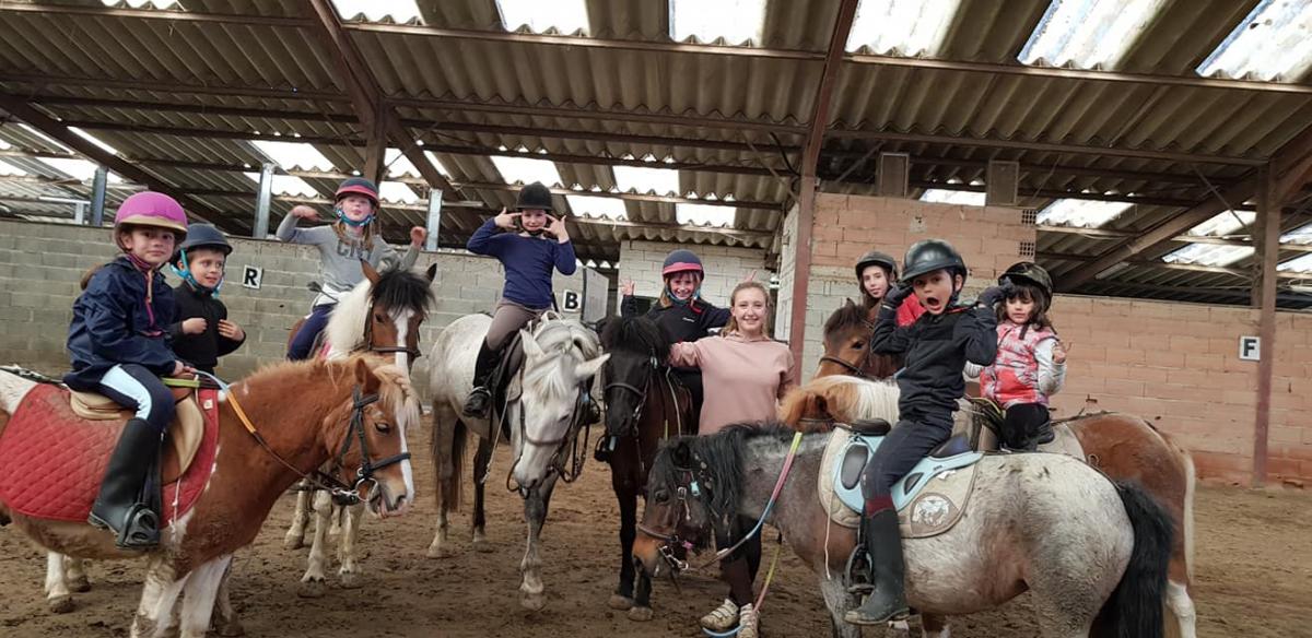 Professionnel du poney, Mons, Écurie Mons Équitation