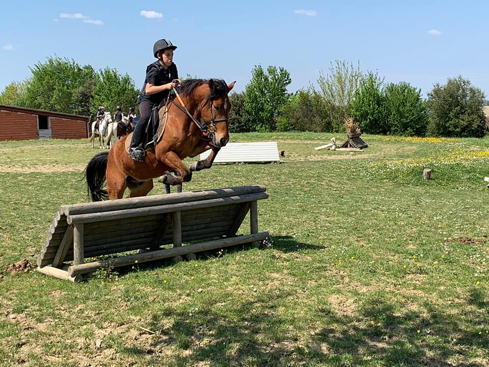 Professionnel du poney, Mons, Écurie Mons Équitation