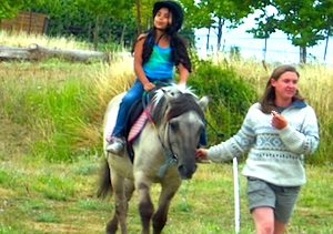 Professionnel du poney, Mons, Écurie Mons Équitation