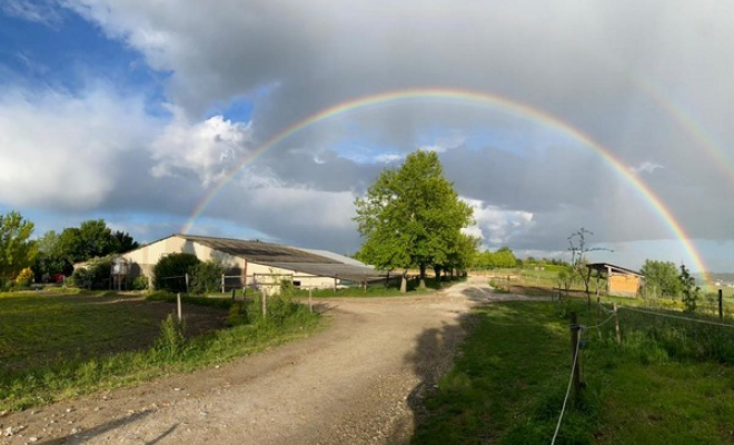 Centre équestre, Mons, Écurie Mons Équitation