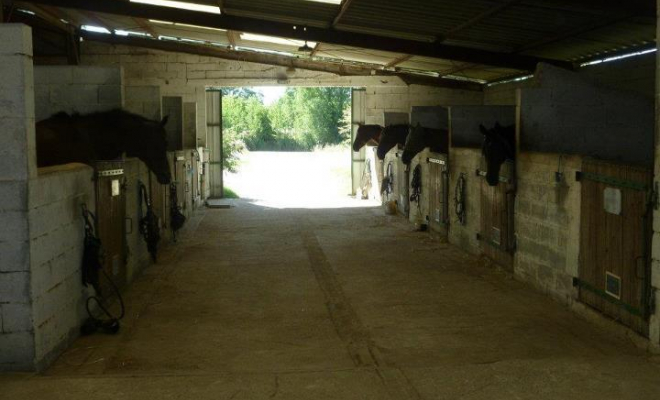 Pension pour chevaux en box, Mons, Écurie Mons Équitation