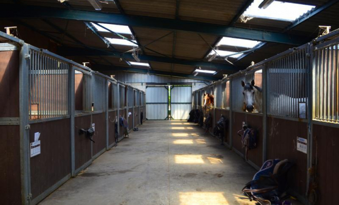 Pension pour chevaux en box, Mons, Écurie Mons Équitation