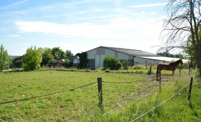 Pension pour chevaux en box, Mons, Écurie Mons Équitation