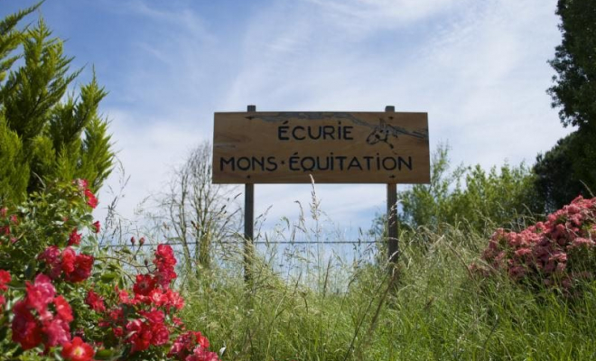 Pension pour chevaux en pré, Mons, Écurie Mons Équitation