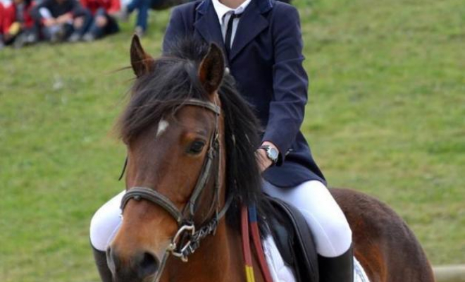 Professionnel du cheval, Mons, Écurie Mons Équitation