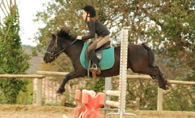 Professionnel du poney, Mons, Écurie Mons Équitation