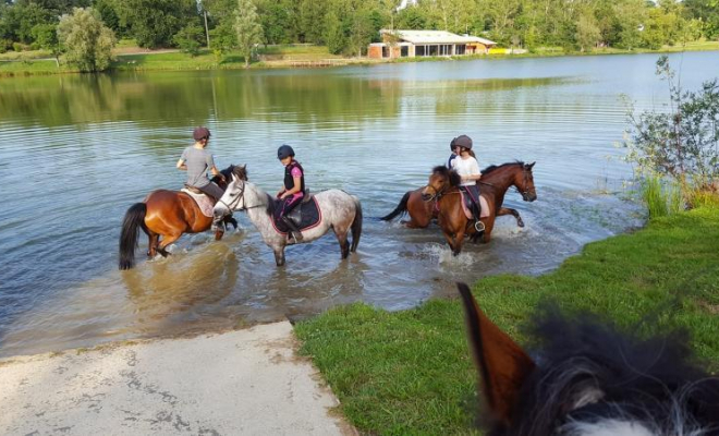 Professionnel du poney, Mons, Écurie Mons Équitation