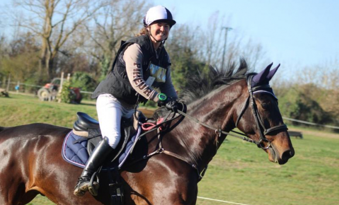 Professionnel équestre, Mons, Écurie Mons Équitation